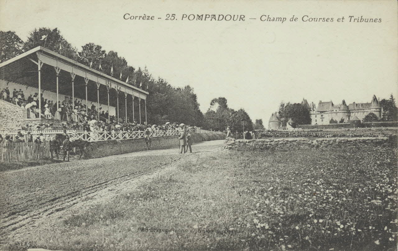 carte postale CHAMP DE COURSES ET TRIBUNES 1903-1920 012010 Photo