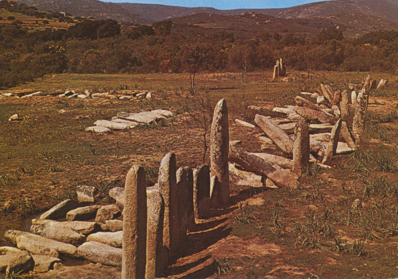 carte postale ALIGNEMENTS DE MENHIRS DE PALAGGHIO autographe 1950 012172 Photo