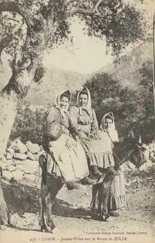 carte postale JEUNES FILLES SUR LA ROUTE 1903-1950 012316 Photo