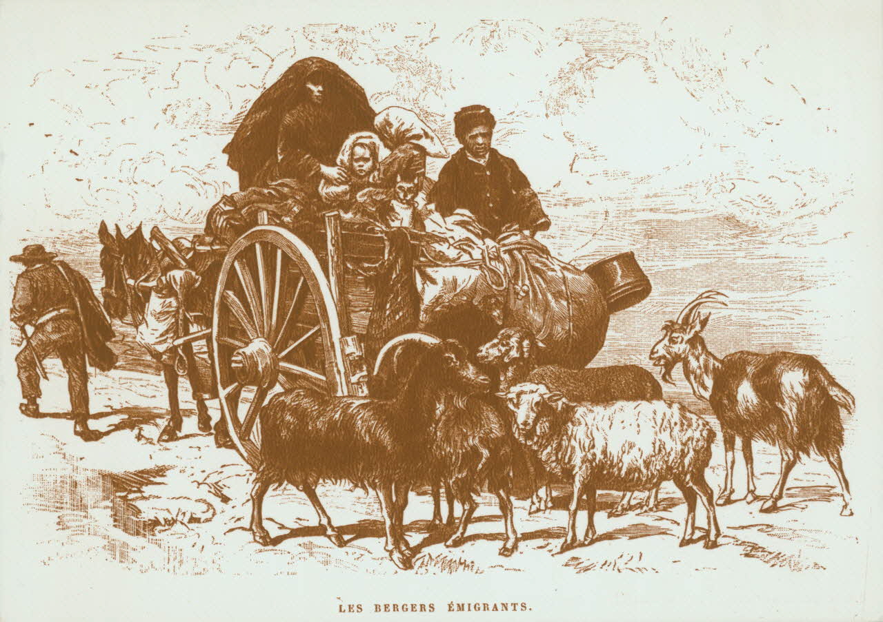 carte postale LA TRANSHUMANCE. BERGERS EMIGRANTS 1950 012382 Photo