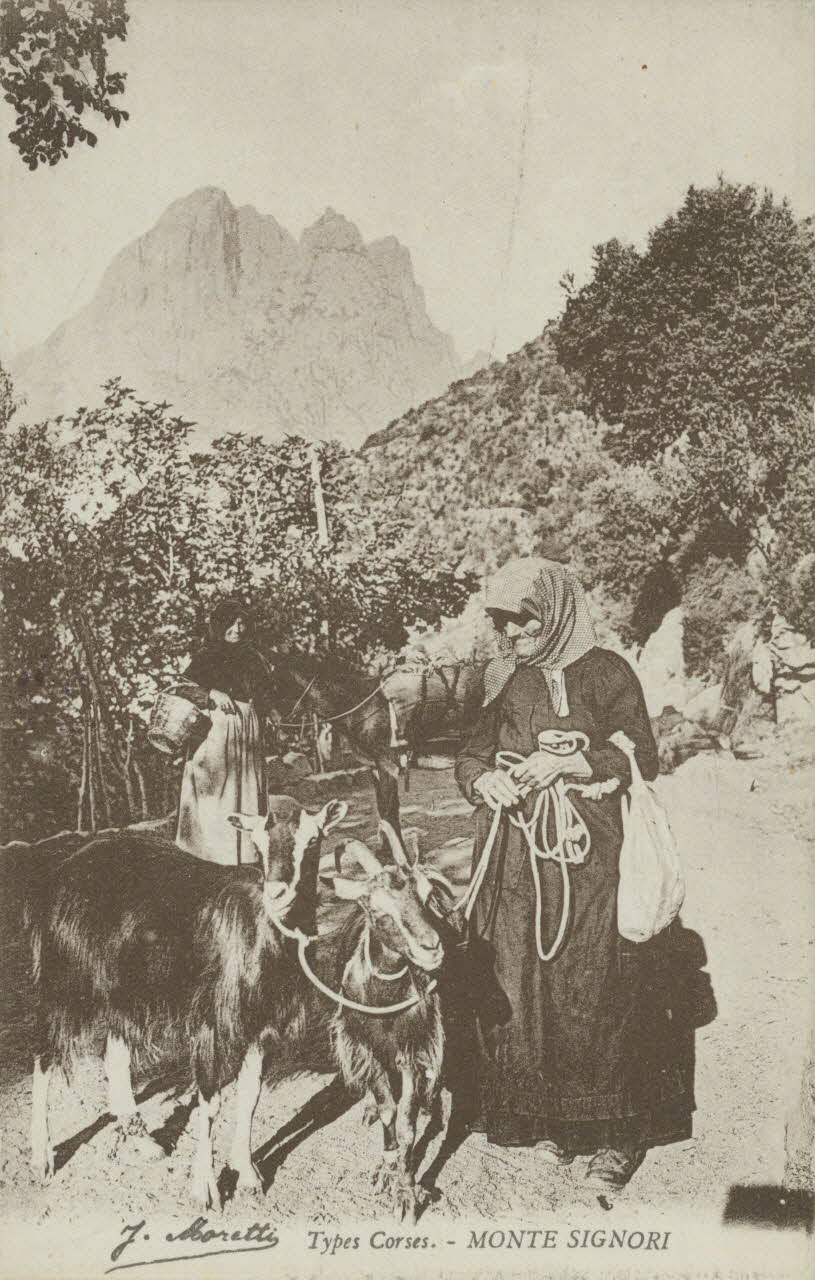 carte postale TYPES CORSES. MONTE SIGNORI 1903-1920 012384 Photo