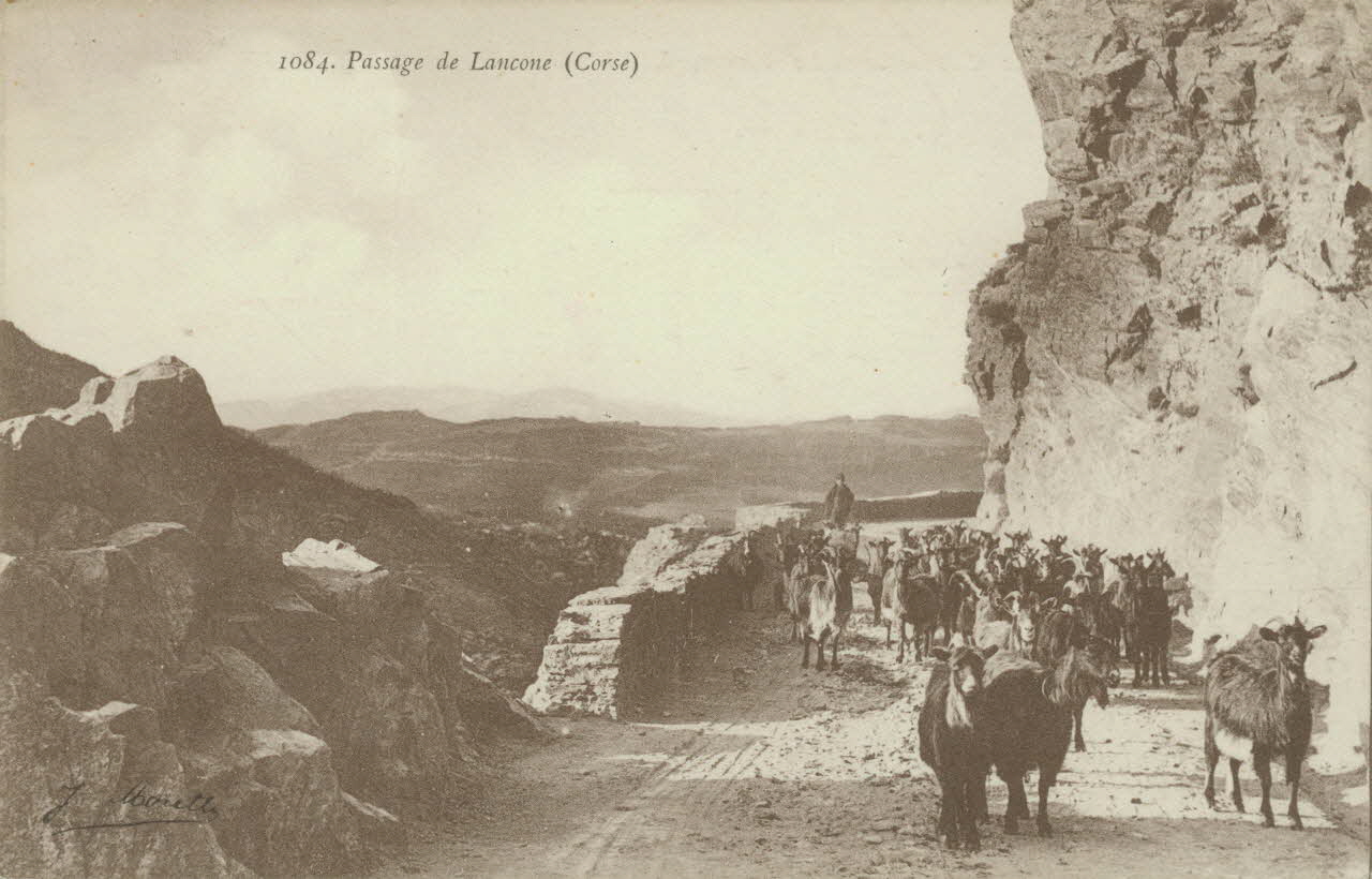carte postale PAYSAGE DE LANCONE 1903-1920 012390 Photo