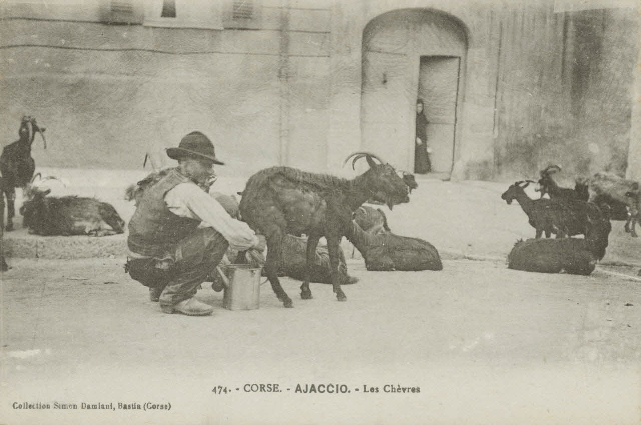 carte postale LES CHEVRES 1903-1920 012393 Photo