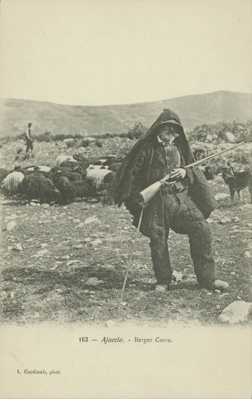 carte postale AJACCIO. BERGER CORSE 1903 012394 Photo