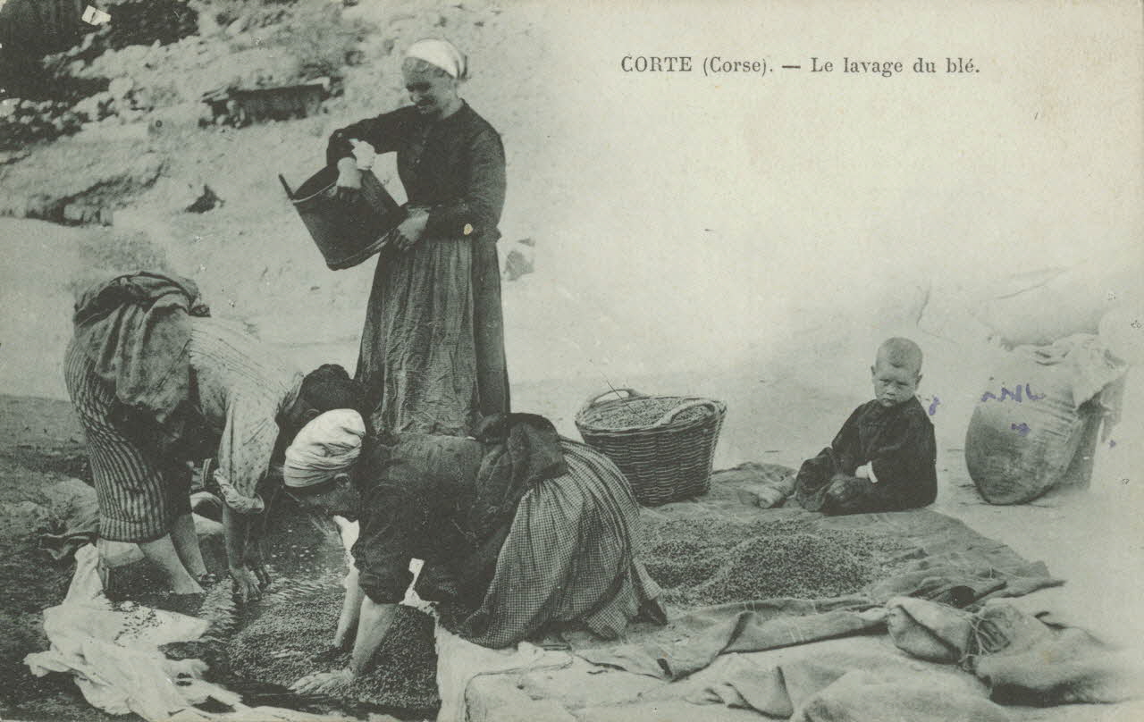 carte postale CORTE. LE LAVAGE DU BLE 1903-1920 012407 Photo