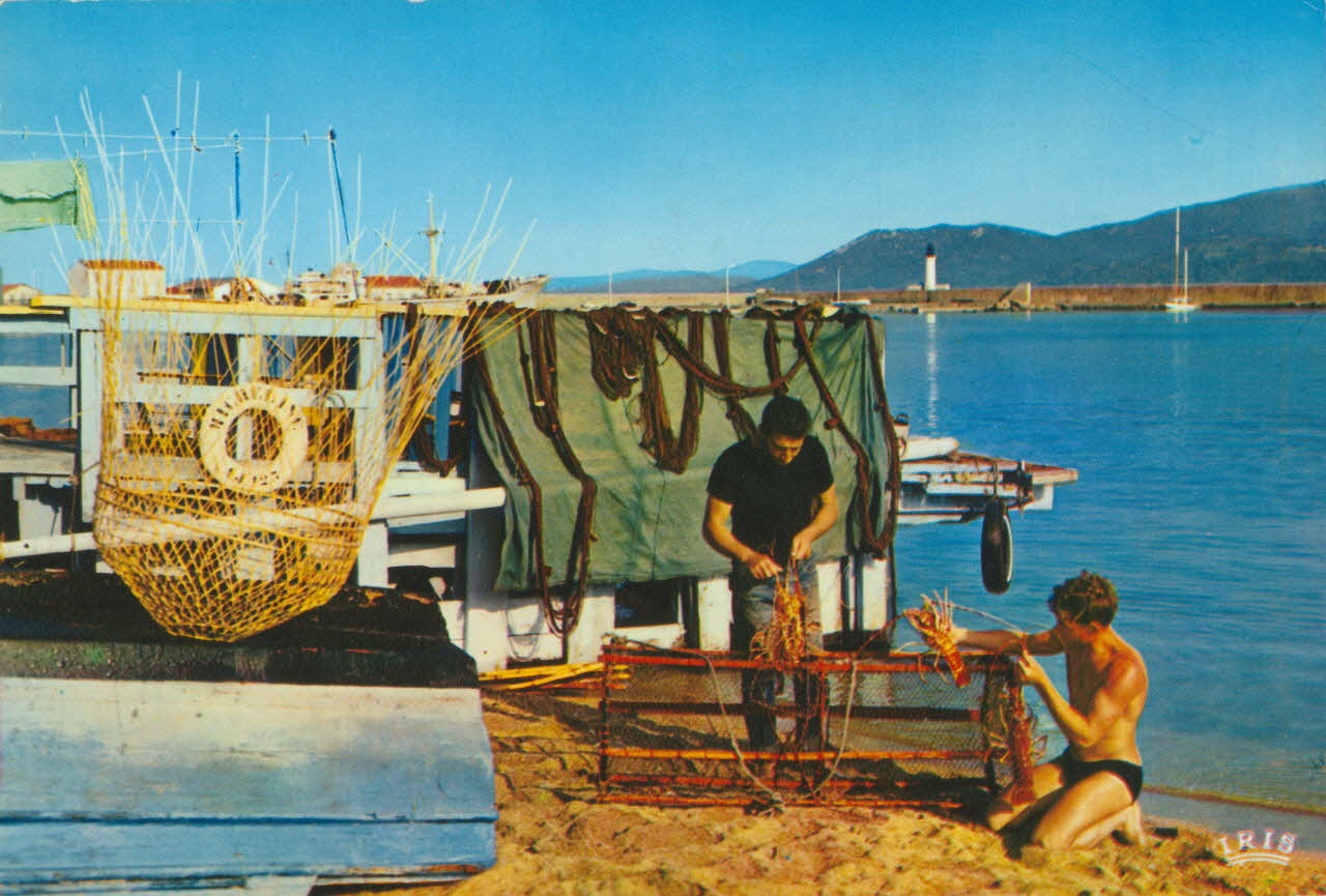 carte postale RETOUR DE PECHE. LES LANGOUSTES 1950 012414 Photo