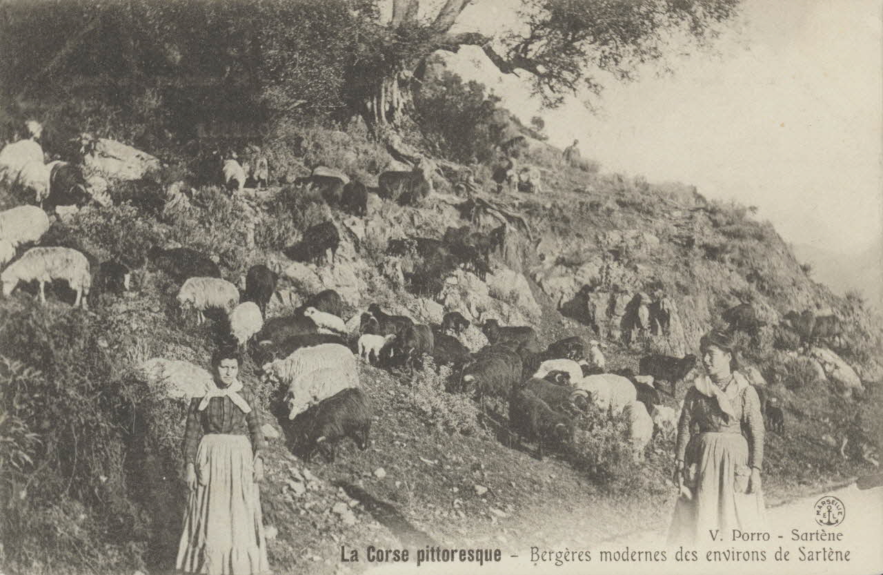 carte postale BERGERES MODERNES DE SARTENE 1903-1920 012417 Photo