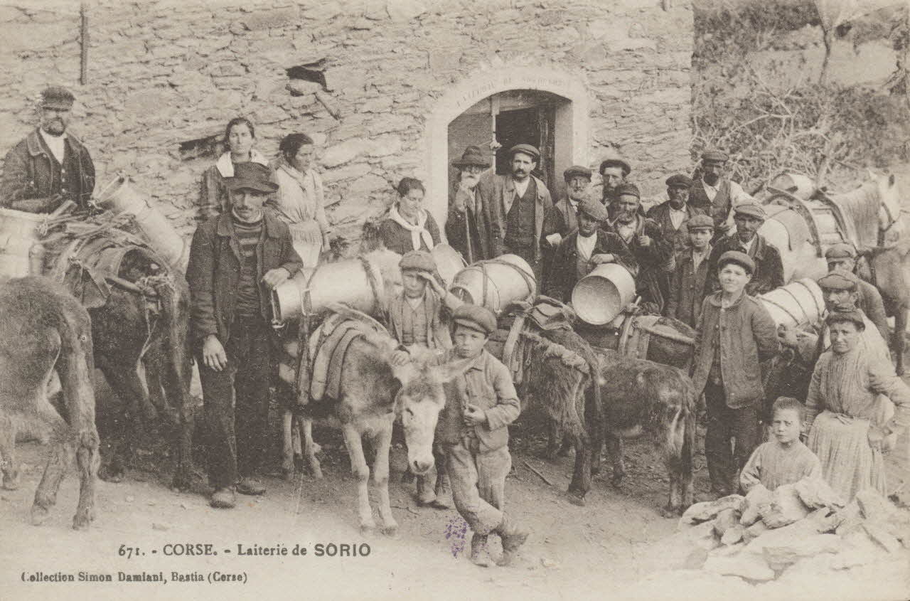 carte postale CORSE. LAITERIE DE SORIO 1903-1920 012418 Photo
