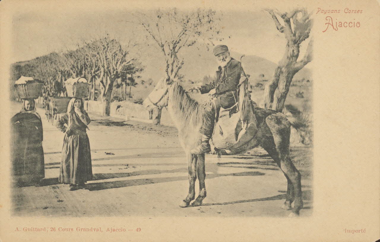 carte postale PAYSANS CORSES 1903 012599 Photo