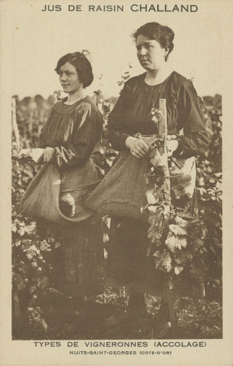 carte postale TYPES DE VIGNERONNES (ACCOLAGE) Côte-d'Or 1903-1950 013087 Photo
