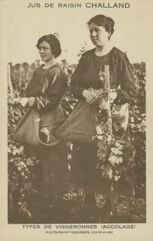 carte postale TYPES DE VIGNERONNES (ACCOLAGE) Côte-d'Or 1903-1950 013087 Photo