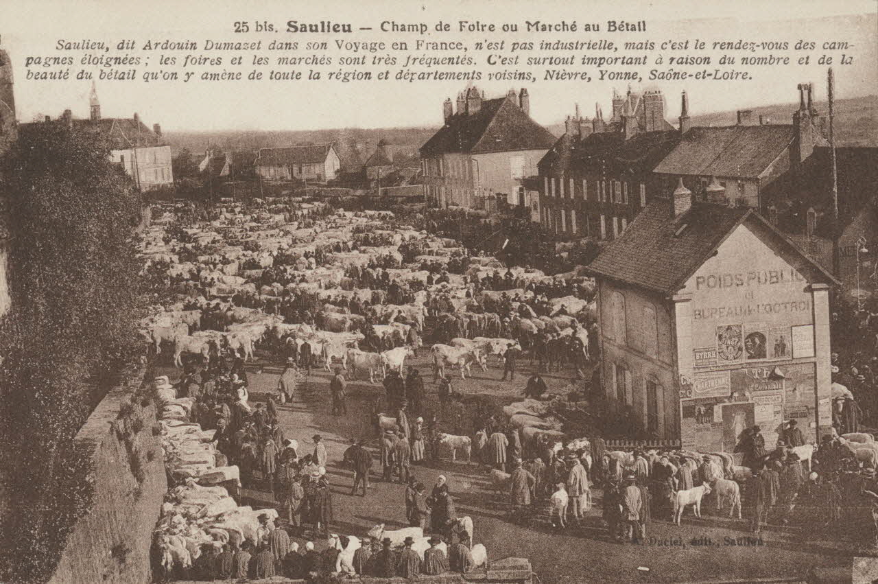 carte postale CHAMP DE FOIRE OU MARCHE AU BETAIL Côte-d'Or 1903-1920 013098 Photo