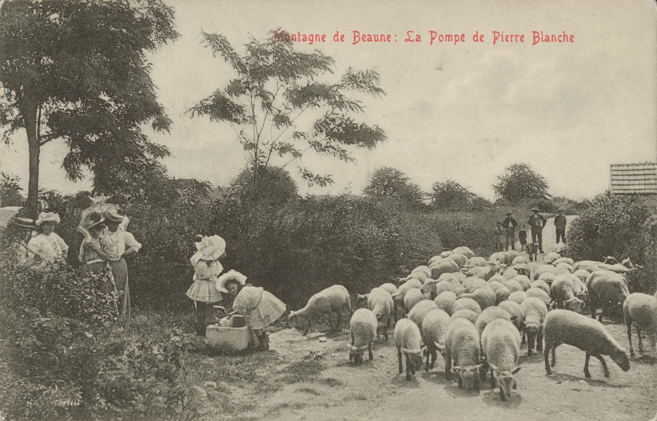 carte postale LA POMPE DE PIERRE BLANCHE Côte-d'Or 1903-1920 013117 Photo