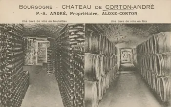 carte postale BEAUNE. VENDANGES "AUX GRAS" Côte-d'Or 1903-1920 013132  Photo