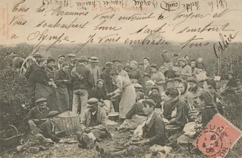 carte postale LE DINER DES VENDANGEURS Côte-d'Or 1906 013133 Photo