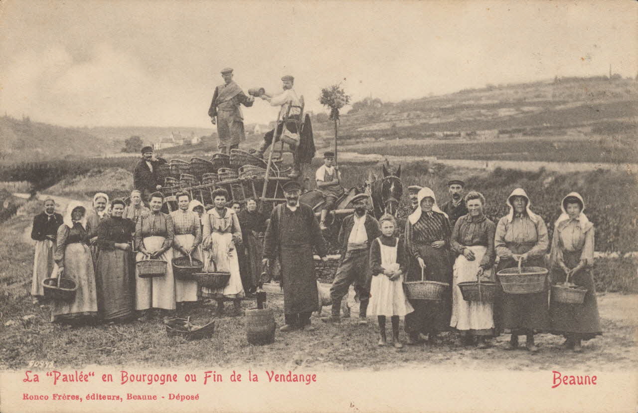 carte postale LA "PAULEE" EN BOURGOGNE Côte-d'Or 1903-1920 013138 Photo