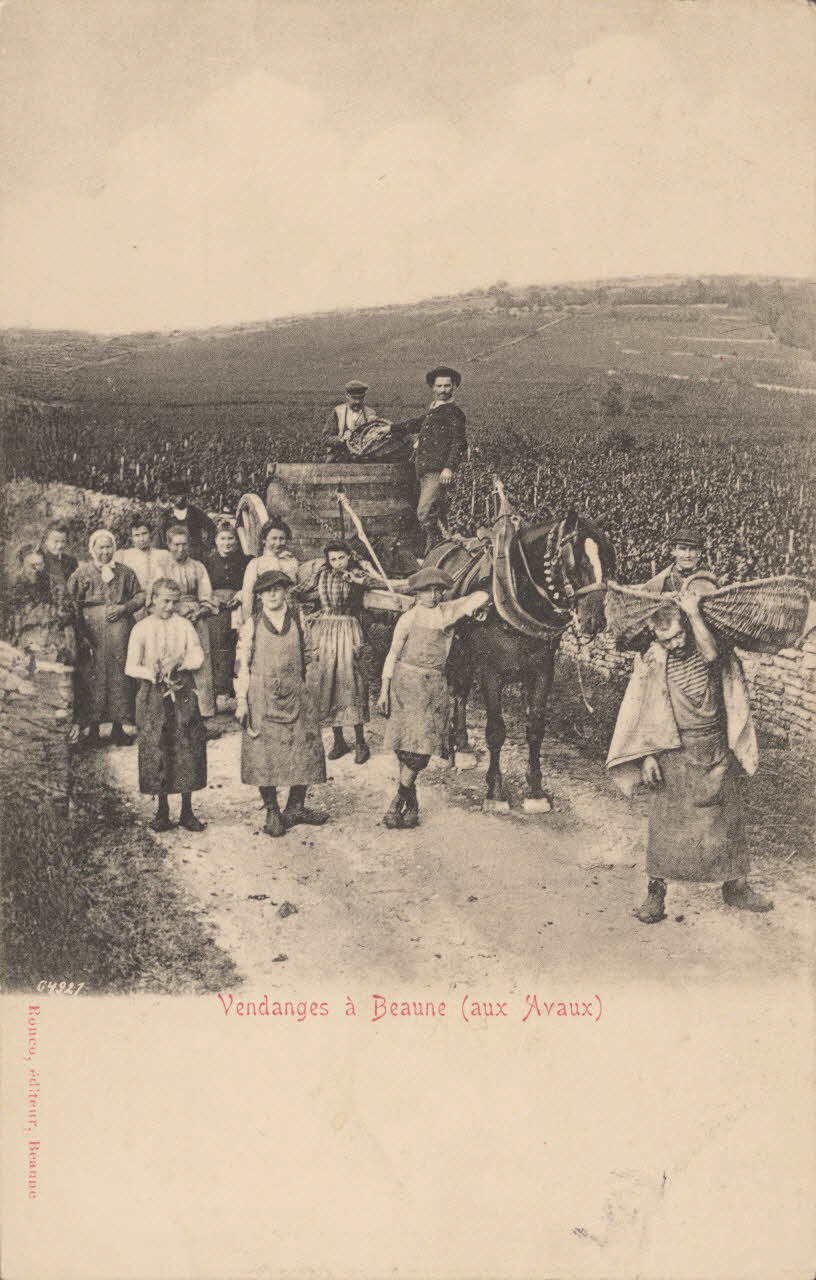 carte postale VENDANGES A BEAUME (AUX AVAUX) Côte-d'Or 1903 013139 Photo