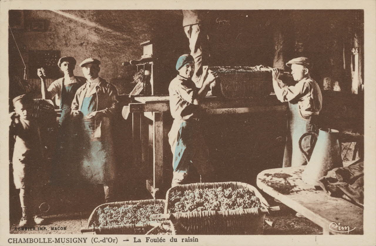 carte postale LA FOULEE DU RAISIN Côte-d'Or 1903-1920 013147 Photo