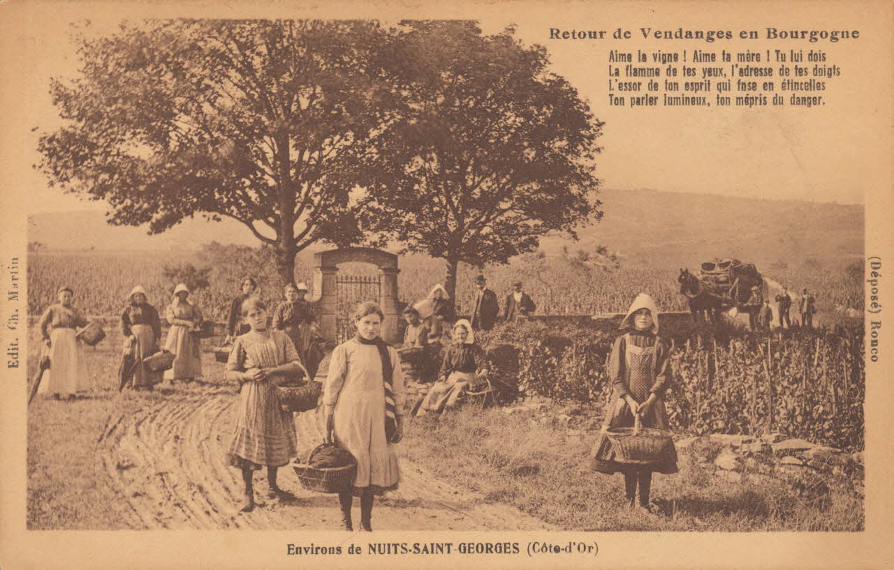 carte postale RETOUR DE VENDANGES EN BOURGOGNE Côte-d'Or 1903-1920 013154 Photo