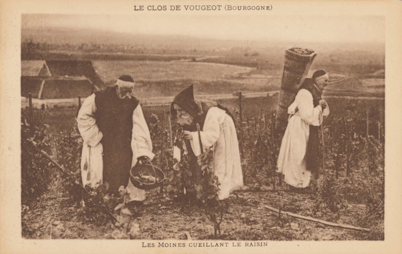 carte postale LES MOINES CUEILLANT LE RAISIN Côte-d'Or 1903-1920 013157 Photo