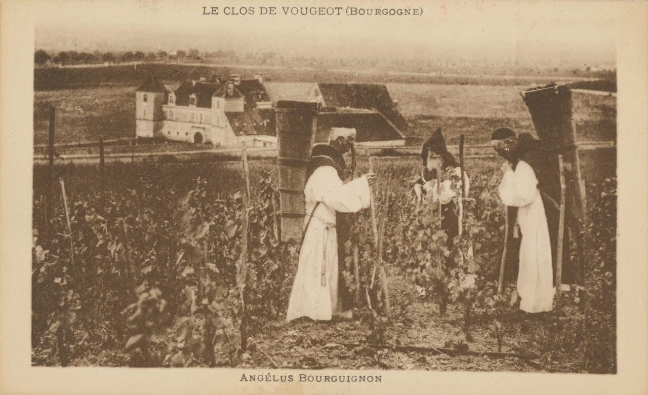 carte postale LE CLOS VOUGEOT. ANGELUS Côte-d'Or 1903-1920 013158 Photo