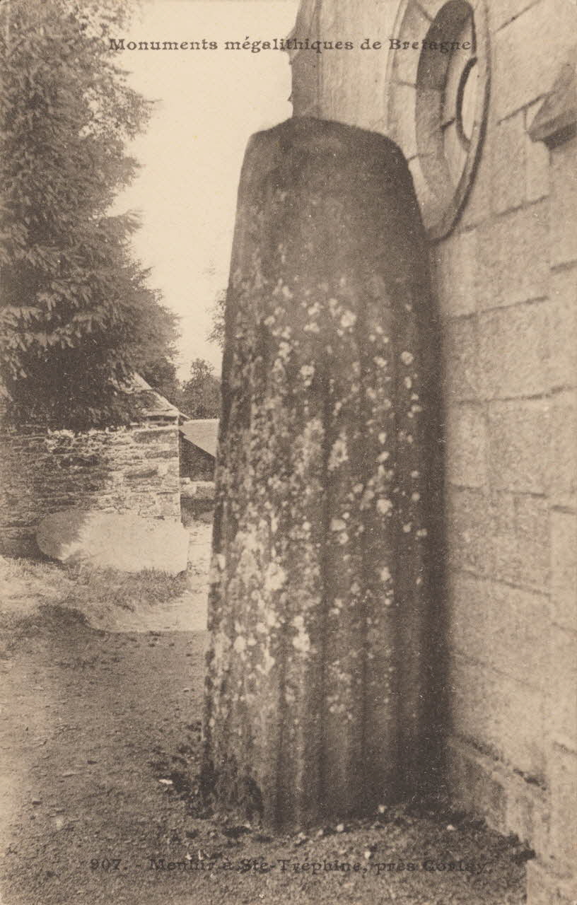 carte postale MENHIR A STE-TREPHINE Côtes-d'Armor 1903 013550 Photo