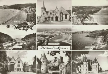 carte postale PLEUSTIN LES GREVES Côtes-d'Armor 1963 013990  Photo