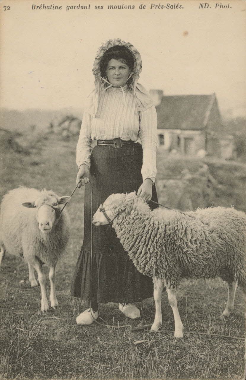 carte postale BREHATINE GARDANT SES MOUTONS Côtes-d'Armor 1903-1950 014036 Photo