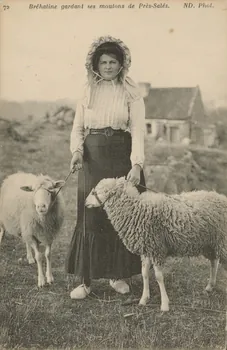 carte postale BREHATINE GARDANT SES MOUTONS Côtes-d'Armor 1903-1950 014036 Photo