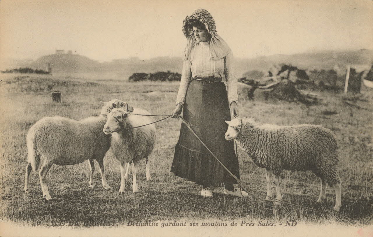carte postale BREHATINE GARDANT SES MOUTONS Côtes-d'Armor 1903-1950 014037 Photo