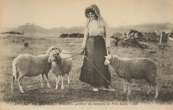 carte postale BREHATINE GARDANT SES MOUTONS Côtes-d'Armor 1903-1950 014037 Photo
