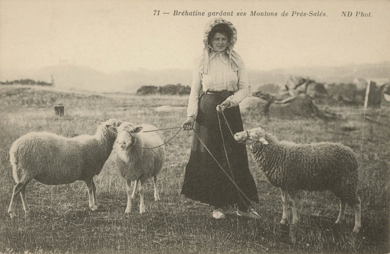 carte postale BREHATINE GARDANT SES MOUTONS Côtes-d'Armor 1903-1950 014038 Photo
