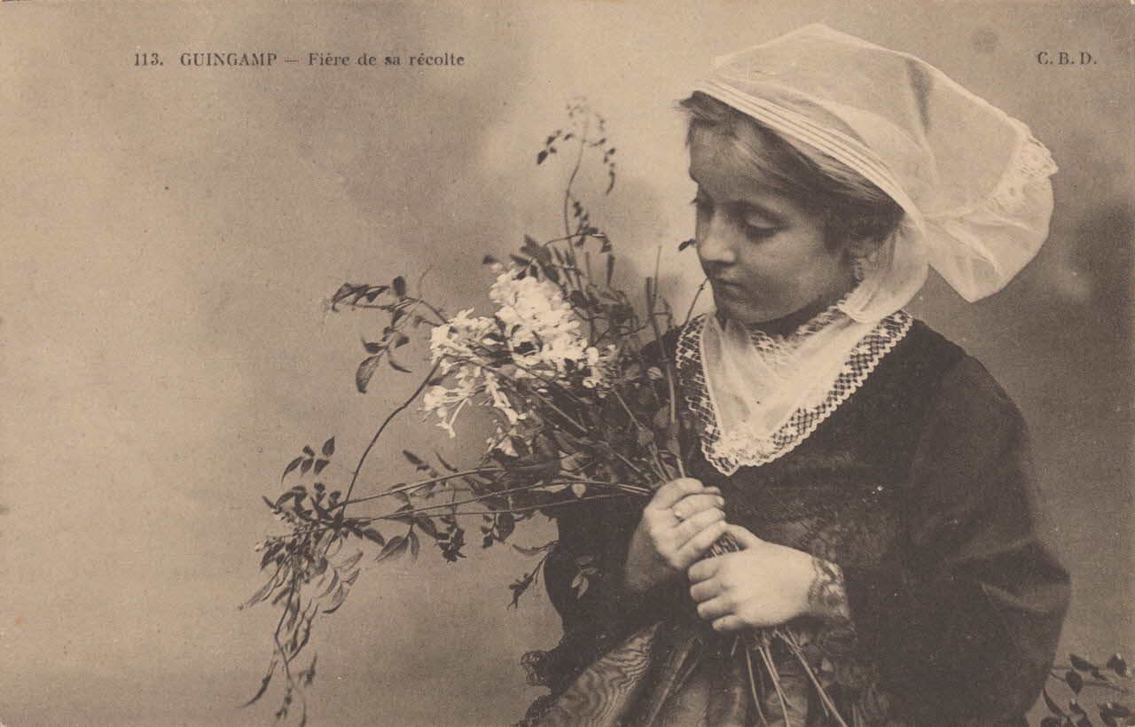 carte postale GUINGAMP-FIERE DE SA RECOLTE Côtes-d'Armor 1903-1950 014063 Photo