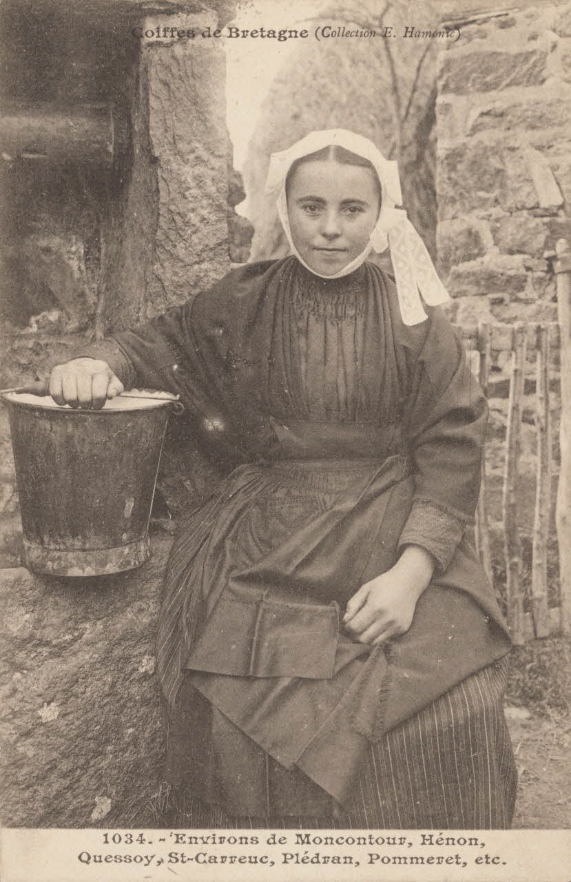 carte postale ENVIRONS DE MONCONTOUR Côtes-d'Armor 1903 014105 Photo