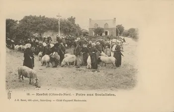 carte postale FOIRE AUX SOCIALISTES Côtes-d'Armor 1903-1920 014220 Photo