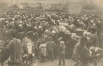 carte postale LE CHAMP DE FOIRE Côtes-d'Armor 1903-1920 014224 Photo