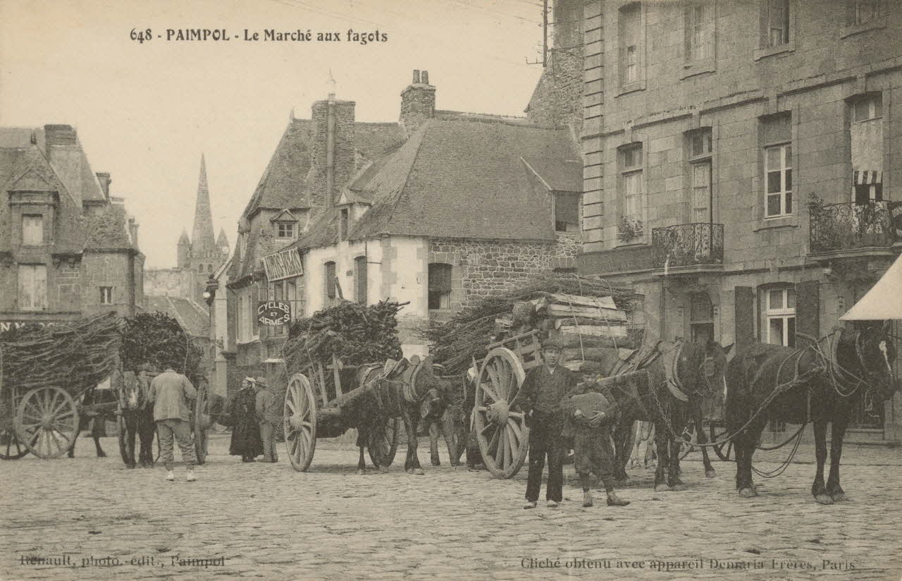 carte postale LE MARCHE AUX FAGOTS Côtes-d'Armor 1903-1920 014225 Photo
