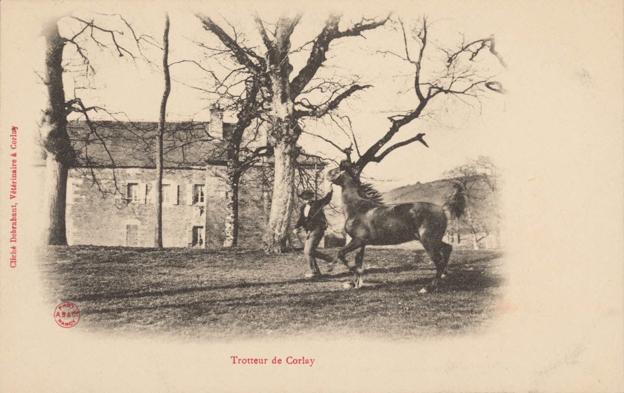 carte postale TROTTEUR DE CORLAY Côtes-d'Armor 1903-1920 014311 Photo