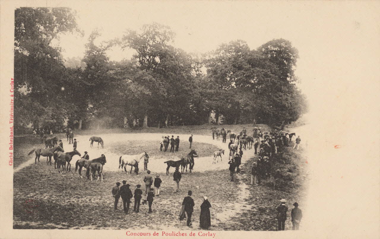 carte postale CONCOURS DE POULICHES DE CORLAY Côtes-d'Armor 1903-1920 014312 Photo