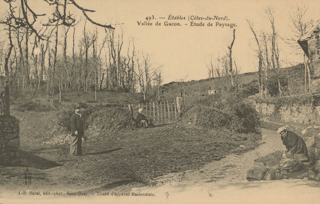carte postale VALLEE DE GACON. ETUDE DE PAYSAGE Côtes-d'Armor 1908 014317 Photo
