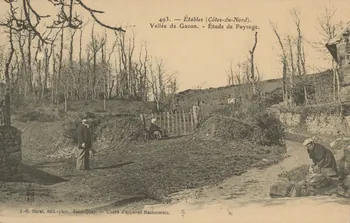 carte postale VALLEE DE GACON. ETUDE DE PAYSAGE Côtes-d'Armor 1908 014317 Photo
