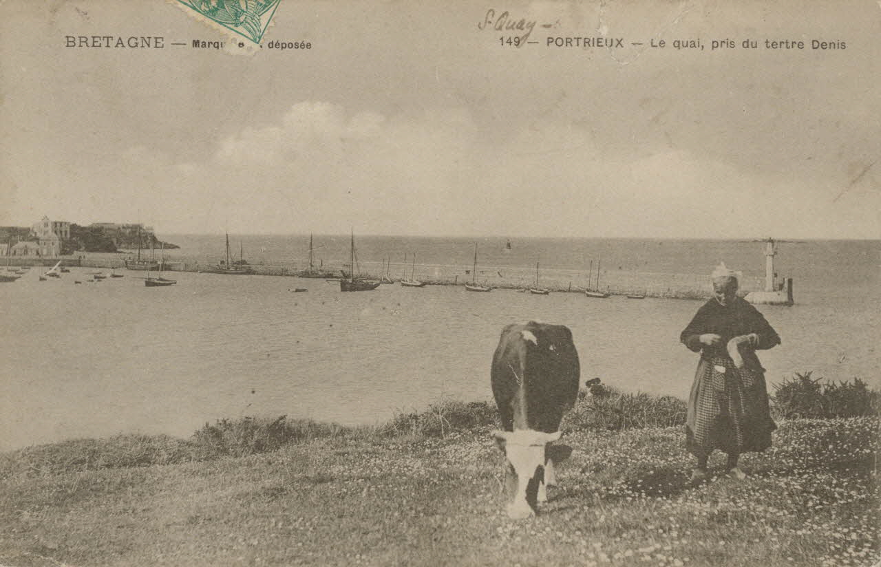 carte postale LE QUAI, PRIS DU TERTRE DENIS Côtes-d'Armor 1907 014348 Photo