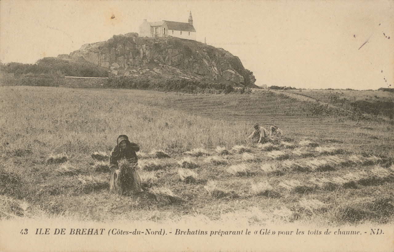 carte postale BREHATINS PREPARANT LE "GLE" Côtes-d'Armor 1903-1920 014358 Photo
