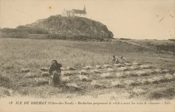 carte postale BREHATINS PREPARANT LE "GLE" Côtes-d'Armor 1903-1920 014358 Photo