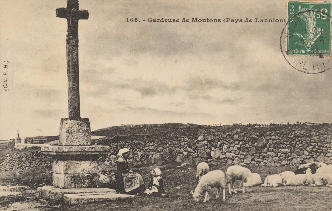 carte postale GARDEUSE DE MOUTONS Côtes-d'Armor 1903-1920 014364 Photo