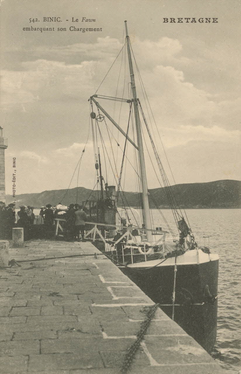 carte postale LE FAWN EMBARQUANT SON CHARGEMENT Côtes-d'Armor 1903-1920 014782 Photo