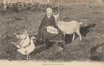 carte postale AU PAYS CREUSOIS 1907 015053 Photo