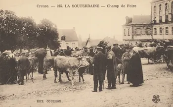 carte postale CHAMP DE FOIRE Creuse 1903-1920 015067 Photo