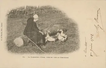 carte postale LA GARDEUSE D'OIES 1902 015072 Photo
