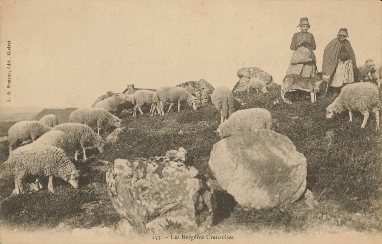 carte postale LES BERGERES CREUSOISES 1903-1920 015073 Photo